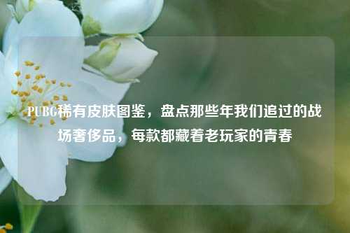 PUBG稀有皮肤图鉴，盘点那些年我们追过的战场奢侈品，每款都藏着老玩家的青春