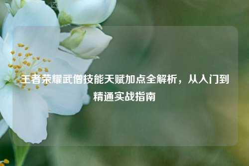 王者荣耀武僧技能天赋加点全解析，从入门到精通实战指南