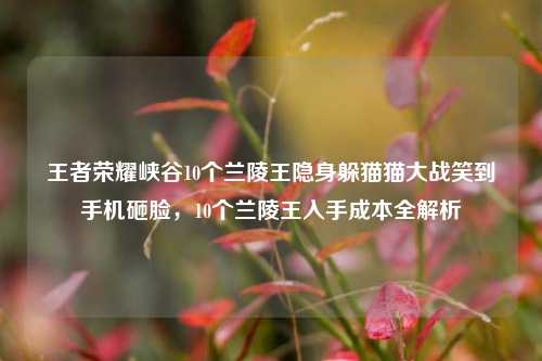 王者荣耀峡谷10个兰陵王隐身躲猫猫大战笑到手机砸脸，10个兰陵王入手成本全解析