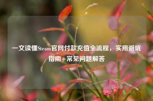 一文读懂Steam官网付款充值全流程，实用避坑指南+常见问题解答