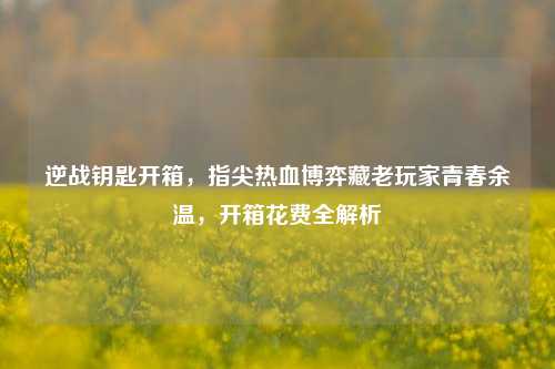 逆战钥匙开箱，指尖热血博弈藏老玩家青春余温，开箱花费全解析