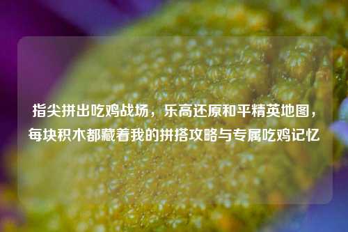 指尖拼出吃鸡战场，乐高还原和平精英地图，每块积木都藏着我的拼搭攻略与专属吃鸡记忆
