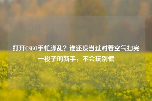 打开CSGO手忙脚乱？谁还没当过对着空气扫完一梭子的新手，不会玩别慌