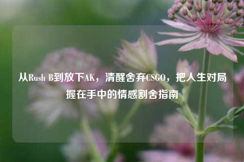 从Rush B到放下AK，清醒舍弃CSGO，把人生对局握在手中的情感割舍指南