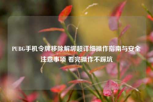 PUBG手机令牌移除解绑超详细操作指南与安全注意事项 看完操作不踩坑