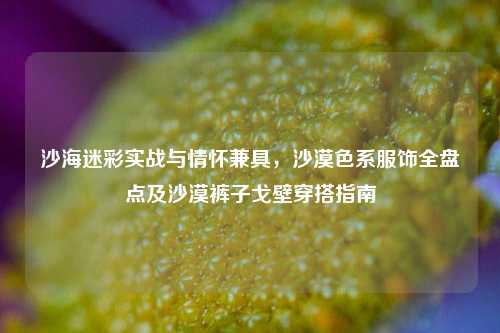 沙海迷彩实战与情怀兼具，沙漠色系服饰全盘点及沙漠裤子戈壁穿搭指南