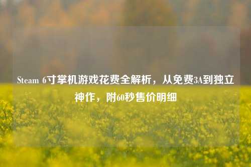 Steam 6寸掌机游戏花费全解析，从免费3A到独立神作，附60秒售价明细