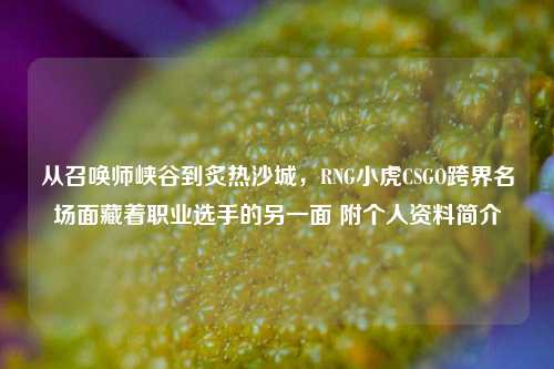 从召唤师峡谷到炙热沙城，RNG小虎CSGO跨界名场面藏着职业选手的另一面 附个人资料简介