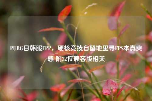 PUBG日韩服FPP，硬核竞技自留地里寻FPS本真爽感 附32位兼容版相关