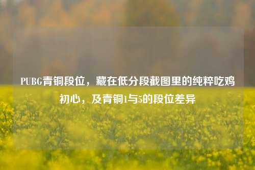 PUBG青铜段位，藏在低分段截图里的纯粹吃鸡初心，及青铜1与5的段位差异