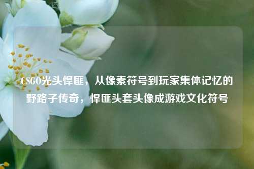 CSGO光头悍匪，从像素符号到玩家集体记忆的野路子传奇，悍匪头套头像成游戏文化符号