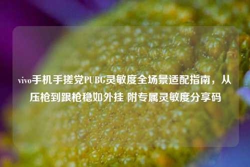vivo手机手搓党PUBG灵敏度全场景适配指南，从压枪到跟枪稳如外挂 附专属灵敏度分享码