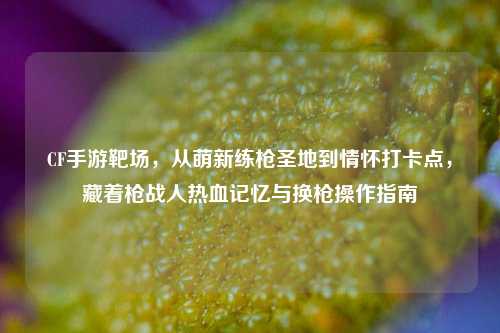 CF手游靶场，从萌新练枪圣地到情怀打卡点，藏着枪战人热血记忆与换枪操作指南