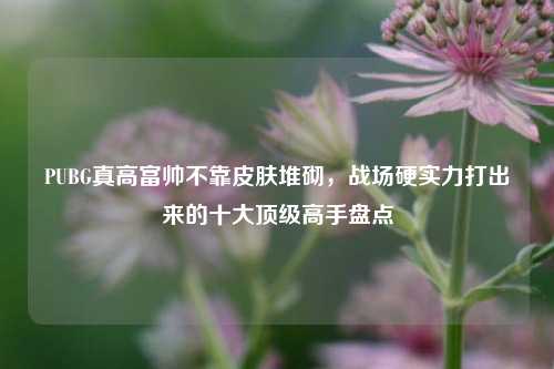 PUBG真高富帅不靠皮肤堆砌，战场硬实力打出来的十大顶级高手盘点