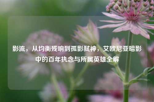 影流，从均衡残响到孤影弑神，艾欧尼亚暗影中的百年执念与所属英雄全解