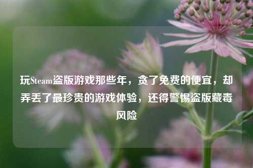 玩Steam盗版游戏那些年,贪了免费的便宜,却弄丢了最珍贵的游戏体验,还得警惕盗版藏毒风险