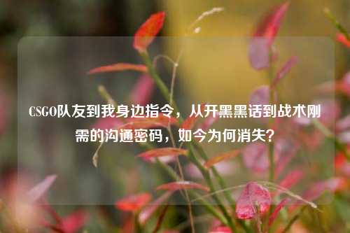 CSGO队友到我身边指令，从开黑黑话到战术刚需的沟通密码，如今为何消失？