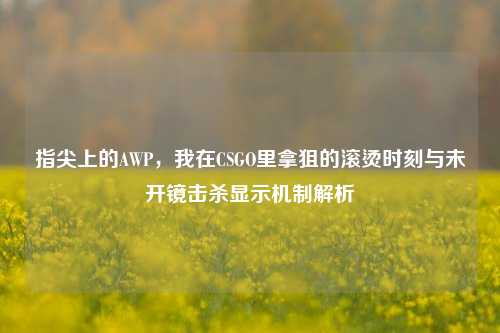 指尖上的AWP，我在CSGO里拿狙的滚烫时刻与未开镜击杀显示机制解析