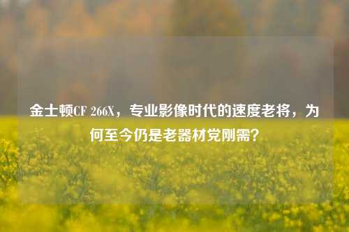 金士顿CF 266X，专业影像时代的速度老将，为何至今仍是老器材党刚需？