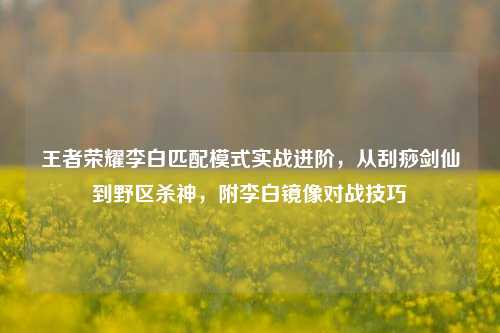 王者荣耀李白匹配模式实战进阶，从刮痧剑仙到野区杀神，附李白镜像对战技巧