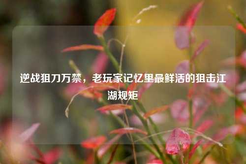 逆战狙刀万禁,老玩家记忆里最鲜活的狙击江湖规矩