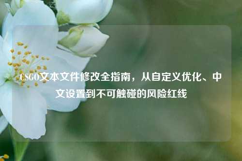 CSGO文本文件修改全指南，从自定义优化、中文设置到不可触碰的风险红线