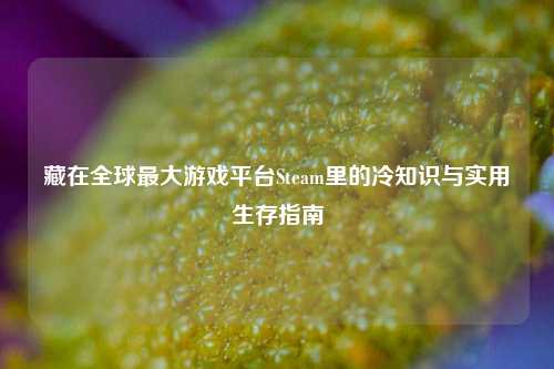 藏在全球最大游戏平台Steam里的冷知识与实用生存指南