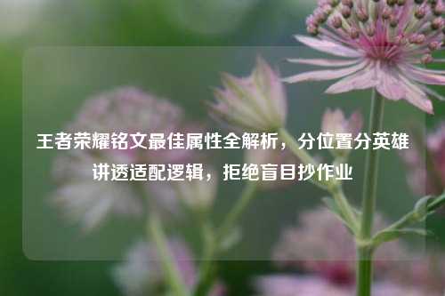 王者荣耀铭文最佳属性全解析，分位置分英雄讲透适配逻辑，拒绝盲目抄作业