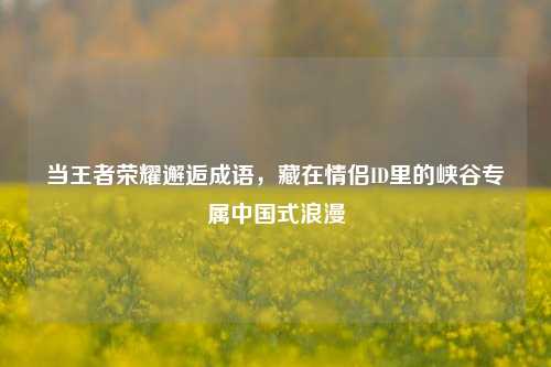 当王者荣耀邂逅成语，藏在情侣ID里的峡谷专属中国式浪漫