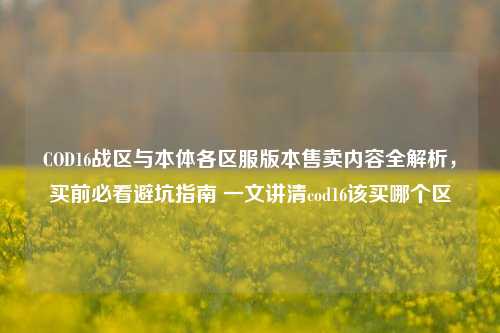 COD16战区与本体各区服版本售卖内容全解析，买前必看避坑指南 一文讲清cod16该买哪个区