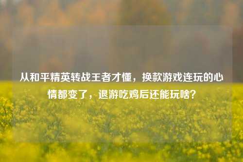 从和平精英转战王者才懂，换款游戏连玩的心情都变了，退游吃鸡后还能玩啥？