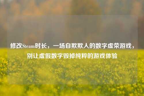 修改Steam时长，一场自欺欺人的数字虚荣游戏，别让虚假数字毁掉纯粹的游戏体验