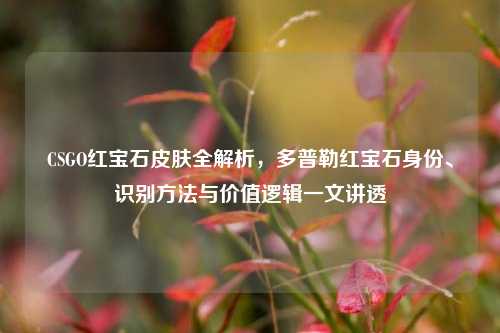 CSGO红宝石皮肤全解析,多普勒红宝石身份、识别方法与价值逻辑一文讲透