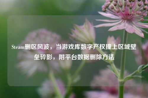 Steam删区风波，当游戏库数字产权撞上区域壁垒碎影，附平台数据删除方法
