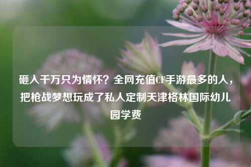 砸入千万只为情怀？全网充值CF手游最多的人，把枪战梦想玩成了私人定制天津格林国际幼儿园学费