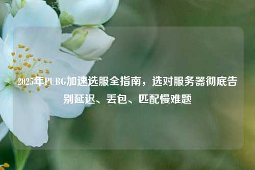 2025年PUBG加速选服全指南，选对服务器彻底告别延迟、丢包、匹配慢难题