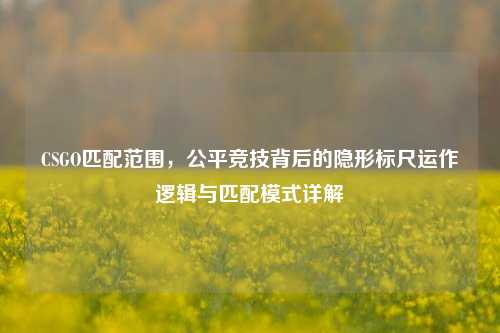 CSGO匹配范围，公平竞技背后的隐形标尺运作逻辑与匹配模式详解