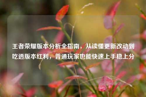 王者荣耀版本分析全指南，从读懂更新改动到吃透版本红利，普通玩家也能快速上手稳上分